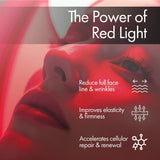 Ovey Skin Reset LED 7 Color Light Face Therapy Mask